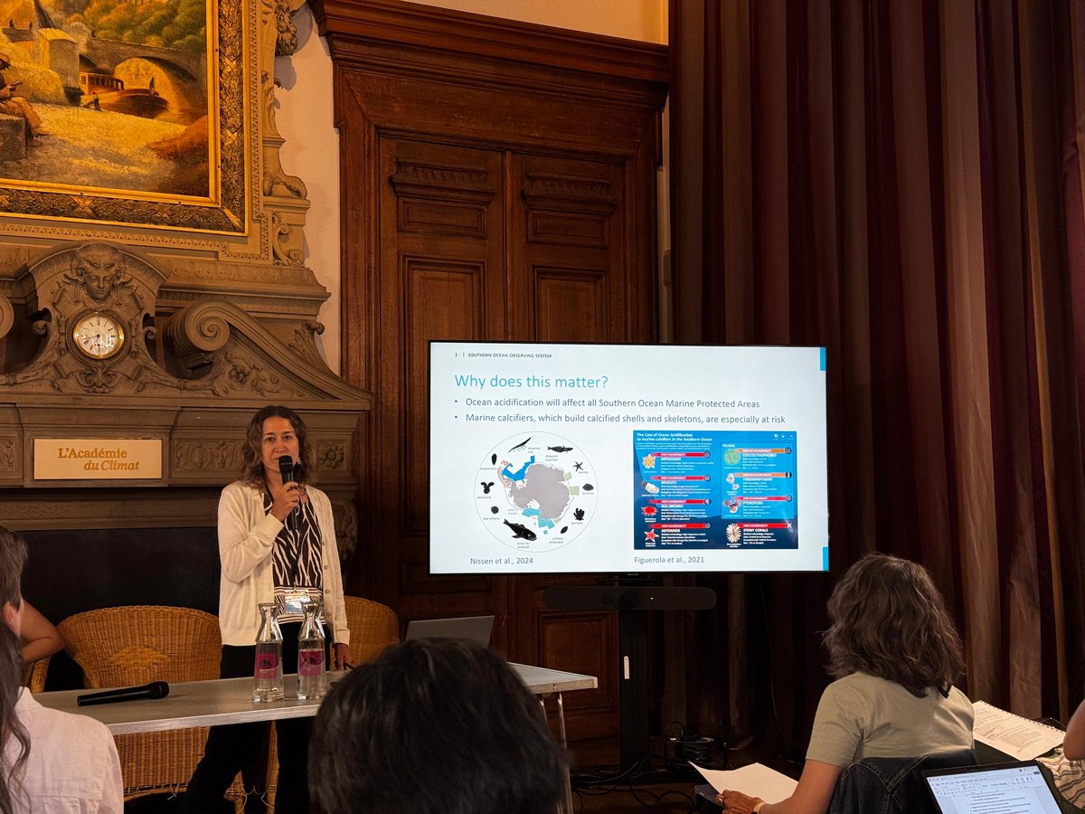 marcalcifiers's tweet image. This week Blanca took part in the @AntICON_SCAR workshop to present the new @SOOSocean @goa_on Acidification hub. It was an interesting experience and a great opportunity to reconnect with past collaborators and meet new colleagues. @SCAR_Tweets #ScienceForPolicy #Antarctica