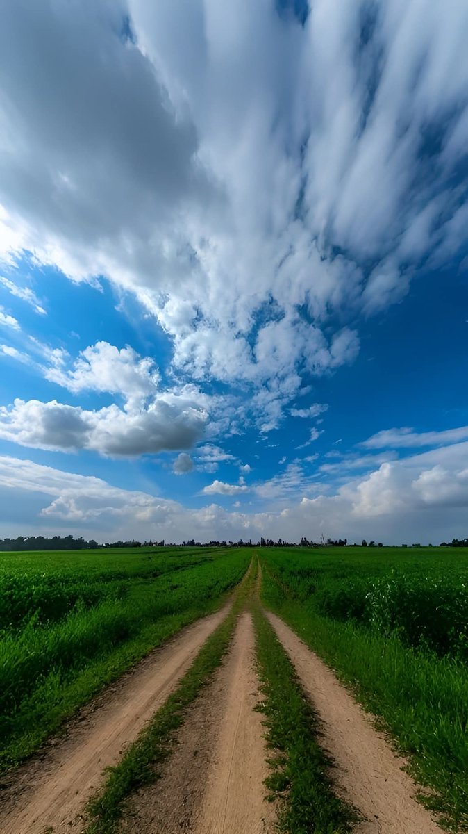 مصر اليوم! 
بلد بيجمع التاريخ والحاضر والمستقبل، من الفراعنة للمدن الذكية.