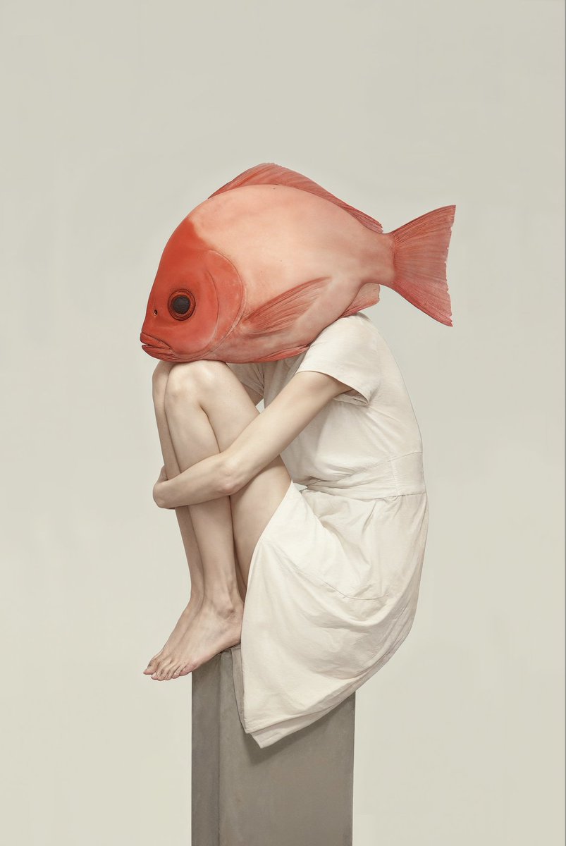 GM, it's Fishy Friday!

Melancholia
1/1