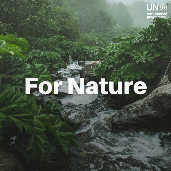 Nature is in crisis, and we all have a part to play in protecting our ecosystems. Every day, every action #ForNature counts.

Get inspired by real-world solutions and act now: unep.org/news-and-stori…
Via <a href="/UNEP/">UN Environment Programme</a>