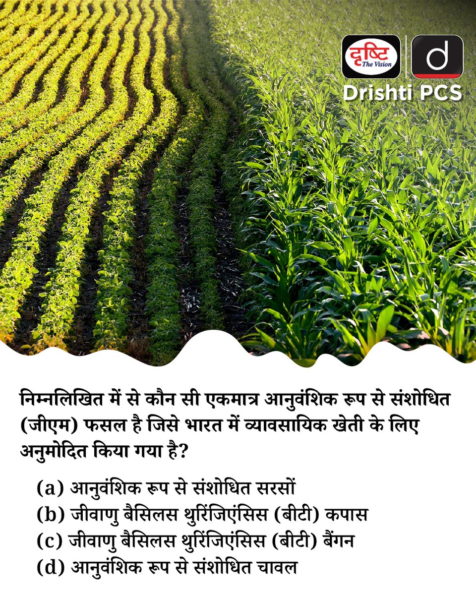 DrishtiPCS's tweet image. प्रिय विद्यार्थियो, 
.
इस क्विज़ में हम डेली की करेंट न्यूज़ के आधार पर आपसे प्रश्न पूछते हैं, इसका उत्तर आपको कमेंट बॉक्स में देना है। 
.
#GMFasal #BtCottonIndia #GeneticallyModifiedCrops #BiotechFarming #BiosafetyIndia #BtCottonFacts #GMvsOrganic#DailyQuiz #DrishtiPCS