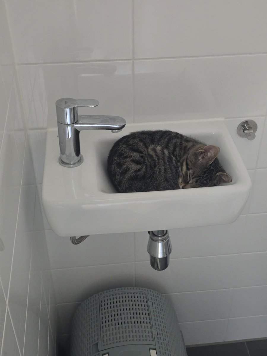 So this is your spot now??😭🥹