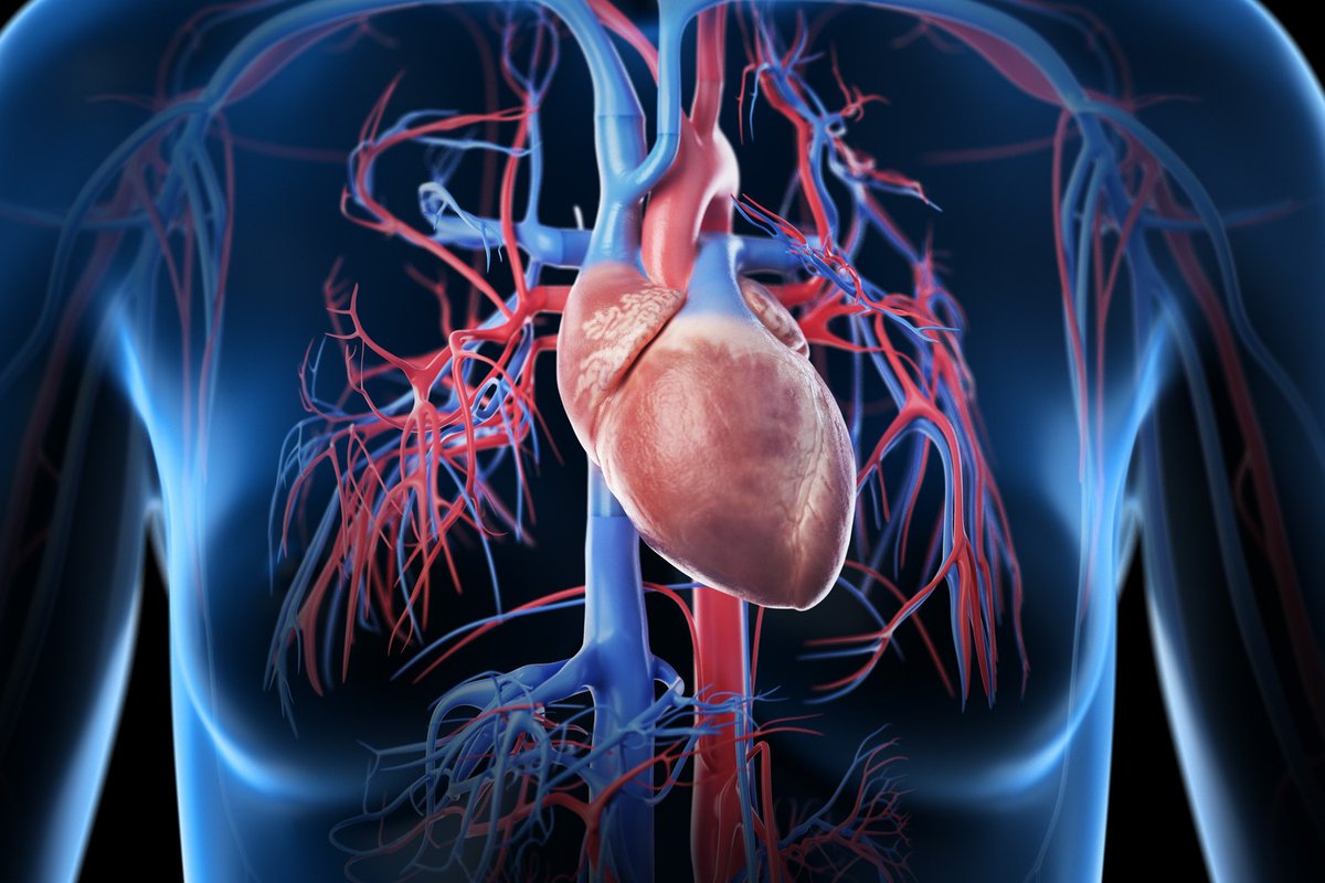 The IMJ (@the_imj) on Twitter photo IMJ July 2025 #OpenAccess
Original Article: Terminal heart failure care for women
bit.ly/44UDDDH
<a href="/TheRACP/">The Royal Australasian College of Physicians</a> <a href="/WileyHealth/">Wiley Clinical Health</a> IMJ July 2025 #OpenAccess
Original Article: Terminal heart failure care for women
bit.ly/44UDDDH
<a href="/TheRACP/">The Royal Australasian College of Physicians</a> <a href="/WileyHealth/">Wiley Clinical Health</a>