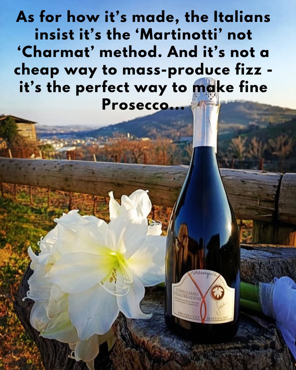 What’s the difference between Prosecco – and Conegliano Valdobbiadene Prosecco Superiore DOCG? 🤔 Why is Prosecco a ‘democratic’ wine?! 🥂 And do you want to hear me change my mind??!! 🤣 All here: susieandpeter.com/podcast-episod…