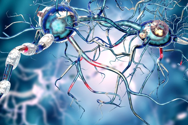 The IMJ (@the_imj) on Twitter photo IMJ July 2025 #OpenAccess
Original Article: Alzheimer disease: rollout of amyloid-targeting therapies
bit.ly/3Il89Oq
<a href="/TheRACP/">The Royal Australasian College of Physicians</a> <a href="/WileyHealth/">Wiley Clinical Health</a> <a href="/Prof_Naismith/">Sharon Naismith, AM, FASSA</a> IMJ July 2025 #OpenAccess
Original Article: Alzheimer disease: rollout of amyloid-targeting therapies
bit.ly/3Il89Oq
<a href="/TheRACP/">The Royal Australasian College of Physicians</a> <a href="/WileyHealth/">Wiley Clinical Health</a> <a href="/Prof_Naismith/">Sharon Naismith, AM, FASSA</a>