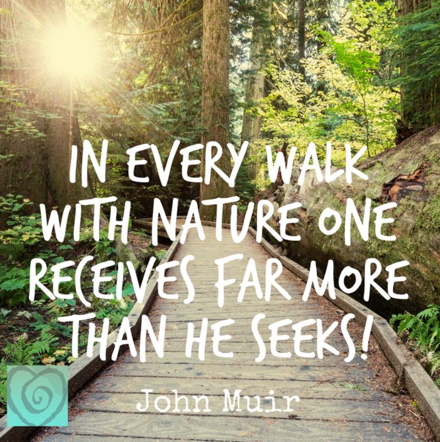Nature changes on a daily basis, so enjoy your time spent outdoors today, and enjoy the season’s changes🐝🦋🌺 #Fridayvibes #Weekend #Mindfulness #Wellbeing #Natureconnection  #Summer