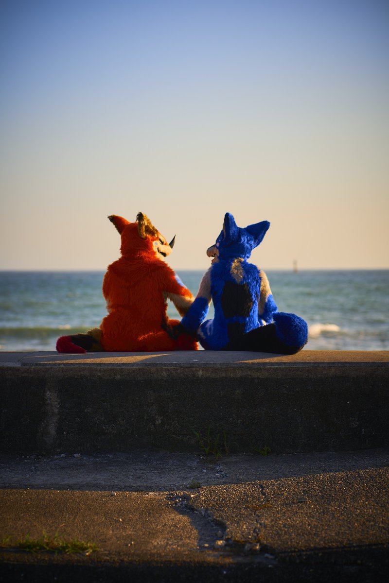 ちゅるらいど5周年でした🥹
これからもよろしくお願いします🙇‍♂️
#FursuitFriday