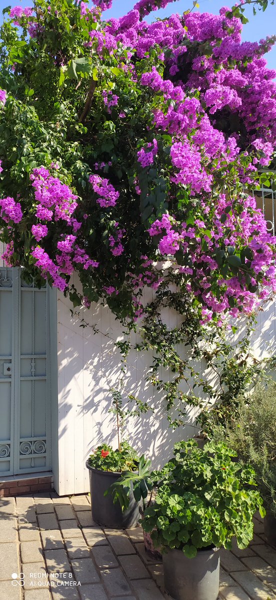 Hayatın güzelliği, 
ona bakmayı bildiğinde başlar...
       #Günaydın
  Hayırlı cumalar 🌺