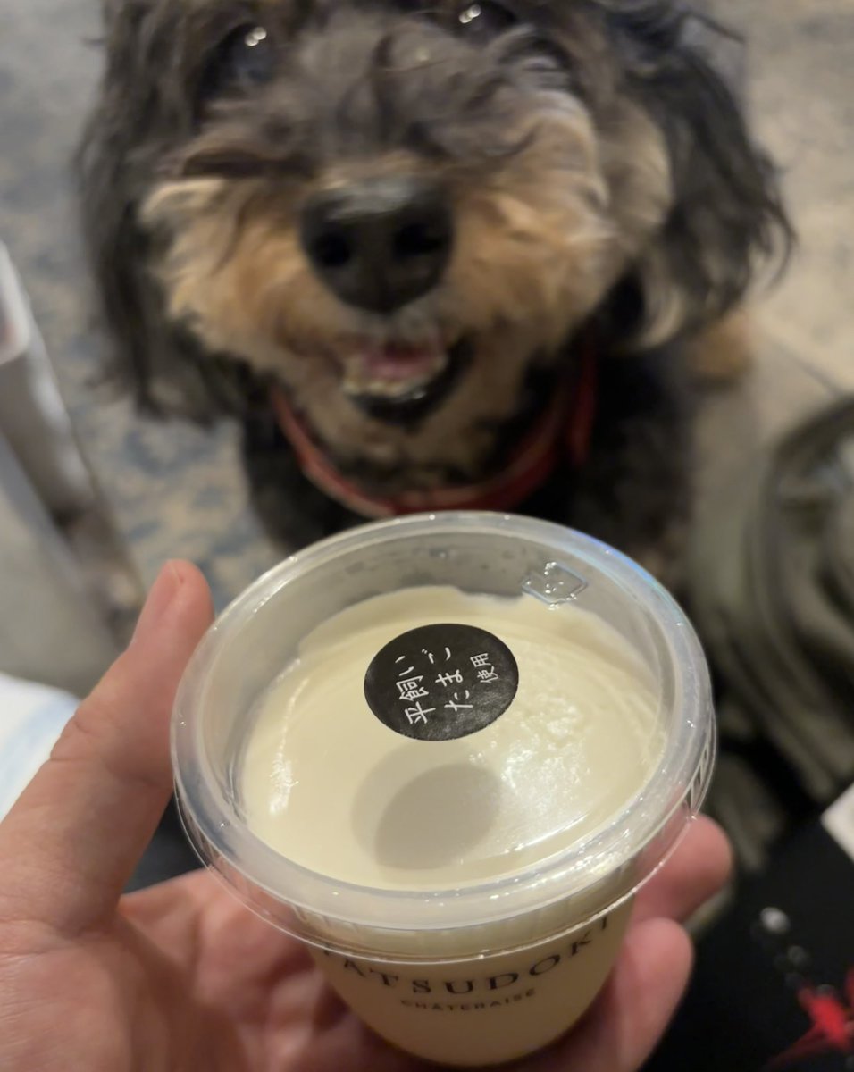 hajime_the_dap's tweet image. シャトレーゼのブランド「ヤツドキ」のプリンいただきました🍮
生クリームたっぷりで、とってもなめらか…!
250円とは思えない高級感に満足です(*´∀`*)
…え?
「わたしのぶんは?」って?