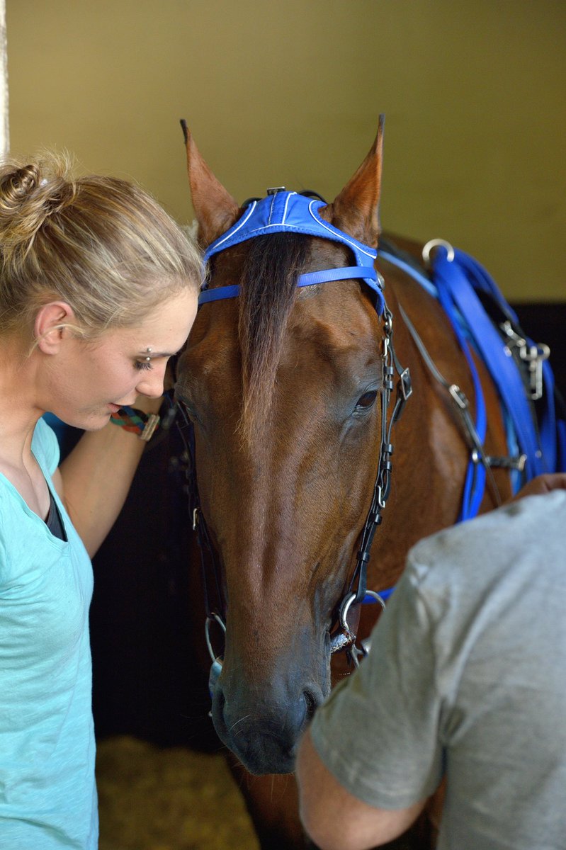 📸 <a href="/jllamaere/">JLL Photographe📷</a>