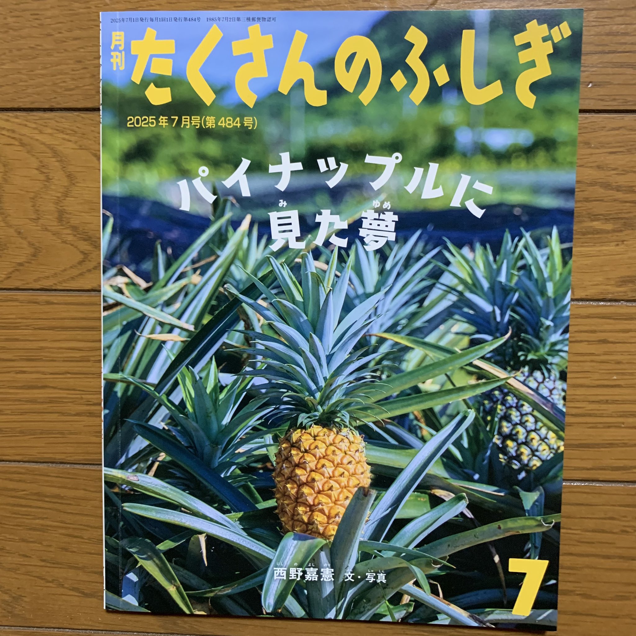 月刊たくさんのふしぎ 2001年～2025年 50冊