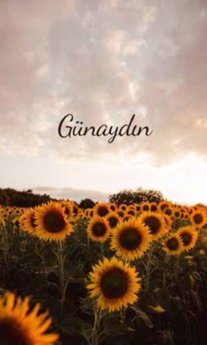 zerrinkara35's tweet photo. Gününüz en güzelinden, neşe dolu olsun😇
#GoodMorning https://t.co/rtB1lmcjIK