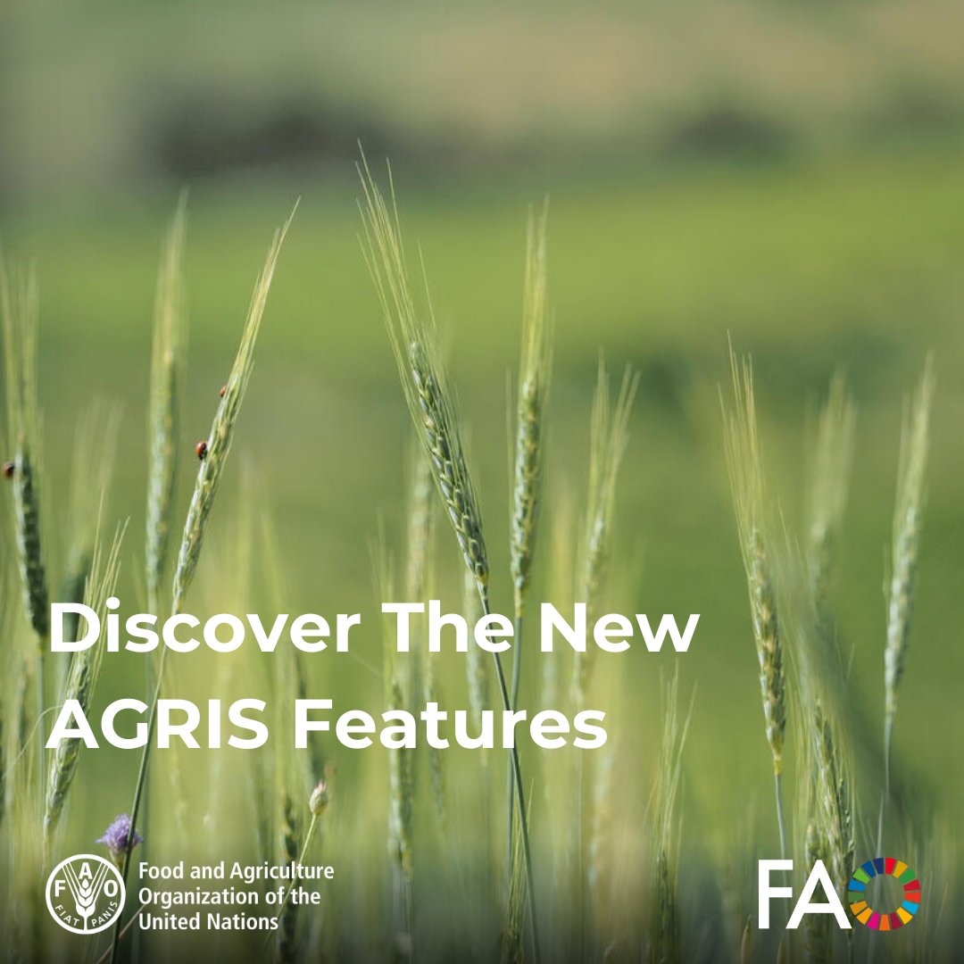 FAOAIMS's tweet image. 🌱Join our #AGRIS Webinar to explore how FAO’s global agricultural knowledge platform is evolving to better serve researchers, librarians, and data providers worldwide.
🔗 fao.org/agris/news/adv…
#AGRIS #OpenAgKnowledge