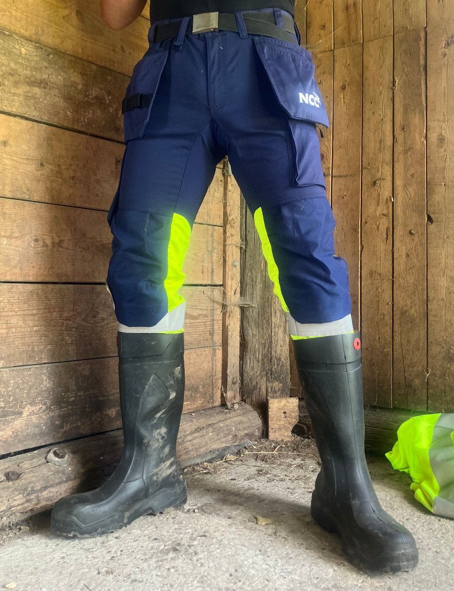 diverpup tweet media