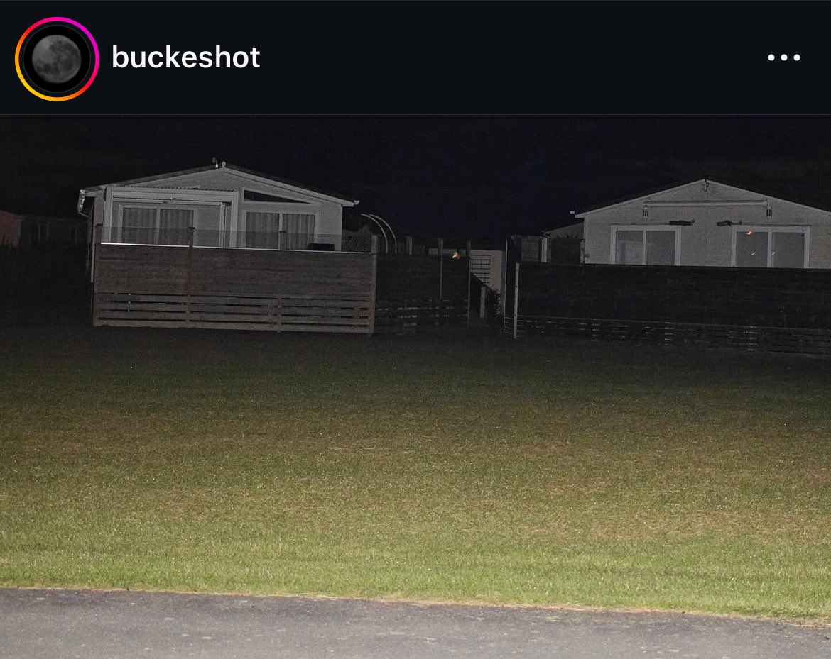 HauntedCentral's tweet image. Buckshot Instagram post