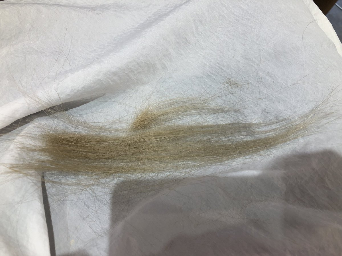 MIDO_PIKO's tweet image. 久々の美容院💇‍♀️
あっついからめっさめっさ
切るでぇ〜！！！！！