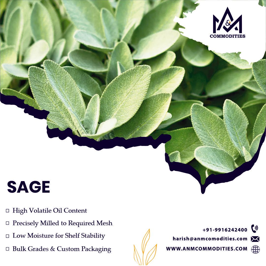 LF export-quality Sage in bulk?

We supply premium dried Sage leaves &amp; powder to buyers in the USA, EU, MENA &amp; Asia. Food-grade | Clean | Export-Ready
📩 harish@anmcommodities.com
🌐 anmcommodities.com
📲 WhatsApp: wa.me/919916242400
#SageExport #HerbsTrade #B2BSpices