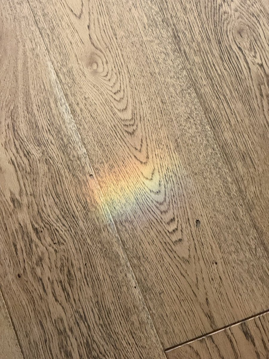 News is reaching me 🌈 that a little message greeted Mum earlier as she made her way downstairs 🌈 today will be a better day 🌈 look for me in rainbows 🌈 💕 #ScrappyNelson