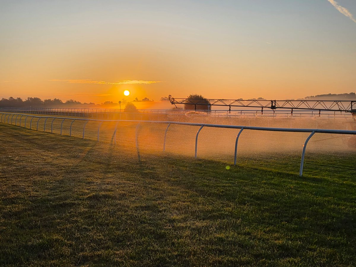 Lingfield Park tweet media