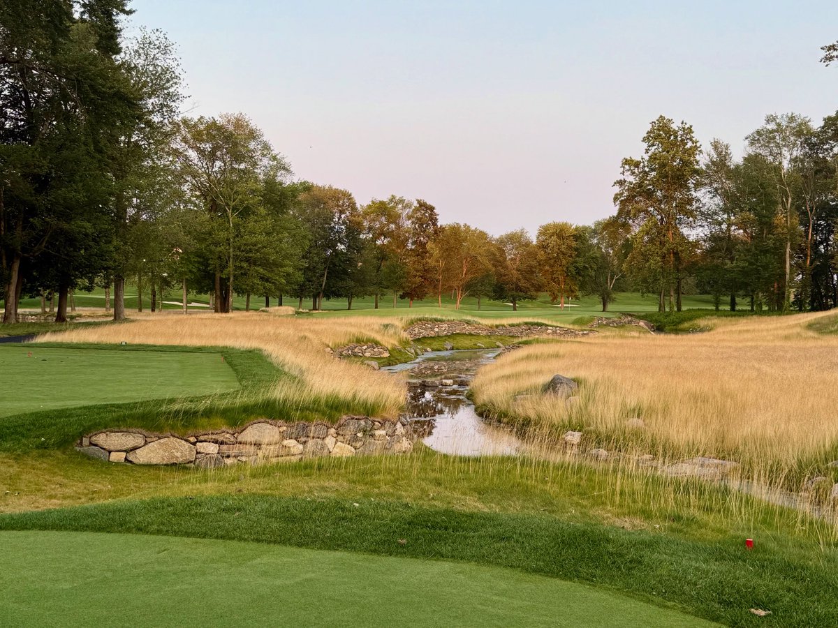 OCMGolf's tweet image. Fescue is up at Stanwich! Our new 16th showing off during golden hour last week.