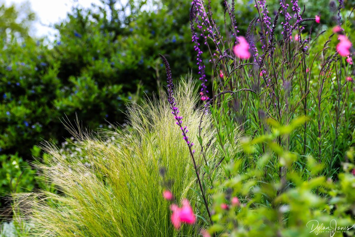 Shoot from the Trip tweet media