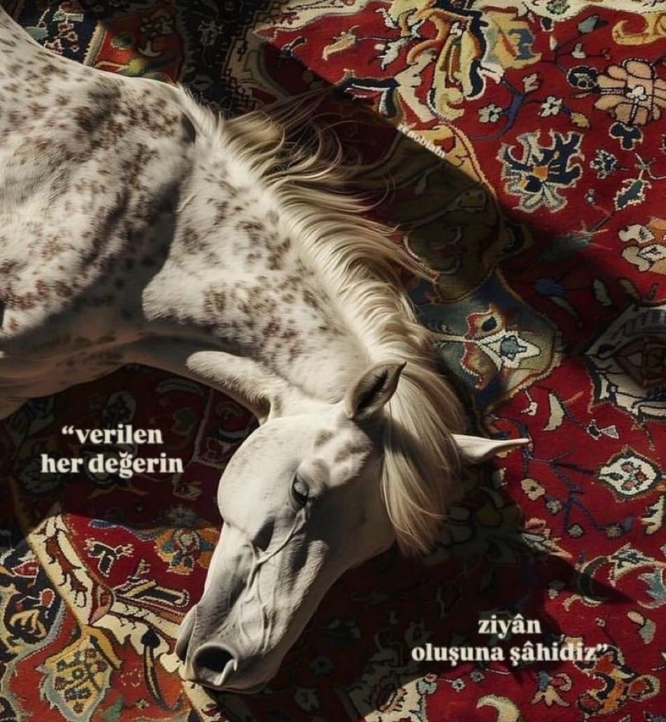 GEÇERKEN 💢
güzel bir iz bırakmak için ; 
vicdan ve merhamet duyguları, insanoğluna en büyük armağandır.

Bakış açınızı 👀 değiştirmeden, acınızı değiştiremezsiniz
💛🌷 💔🥀 💚💮
Yüreğinden yaralı bizim hikayemiz

Kalpten kalbe yol vardır🫀
Hiçbir karşılaşma tesadüf değildir🌻