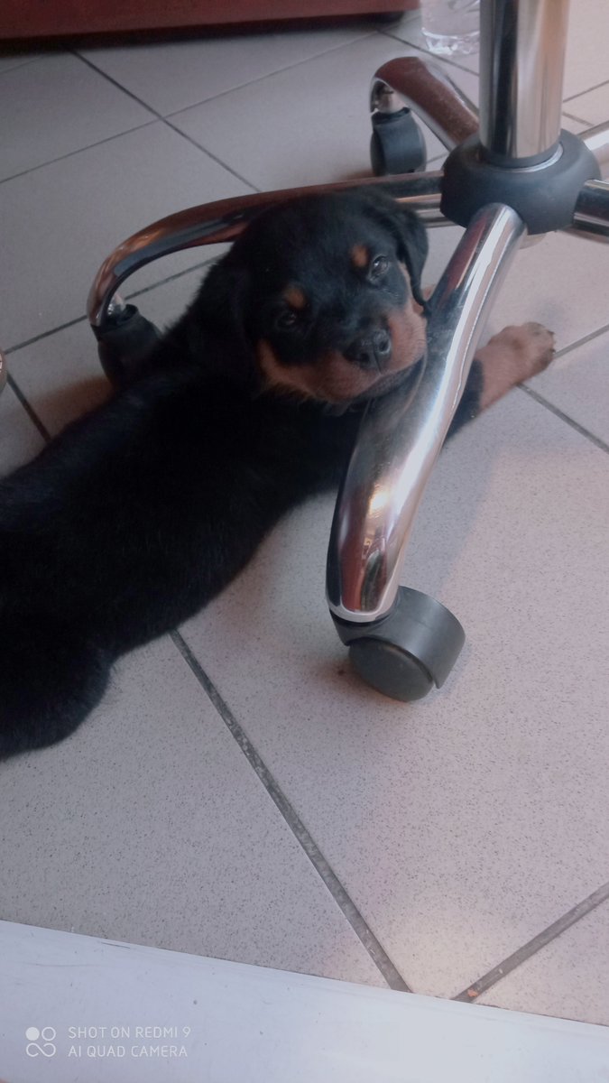 Όταν ο συνάδελφος δεν έχει πού να αφήσει το παιδί και το φέρνει στη δουλειά.