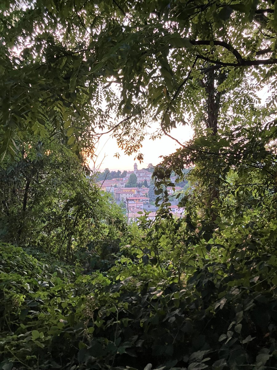 PrevotCecile's tweet image. Que c’est joli #paysage #Lombardia #Italia