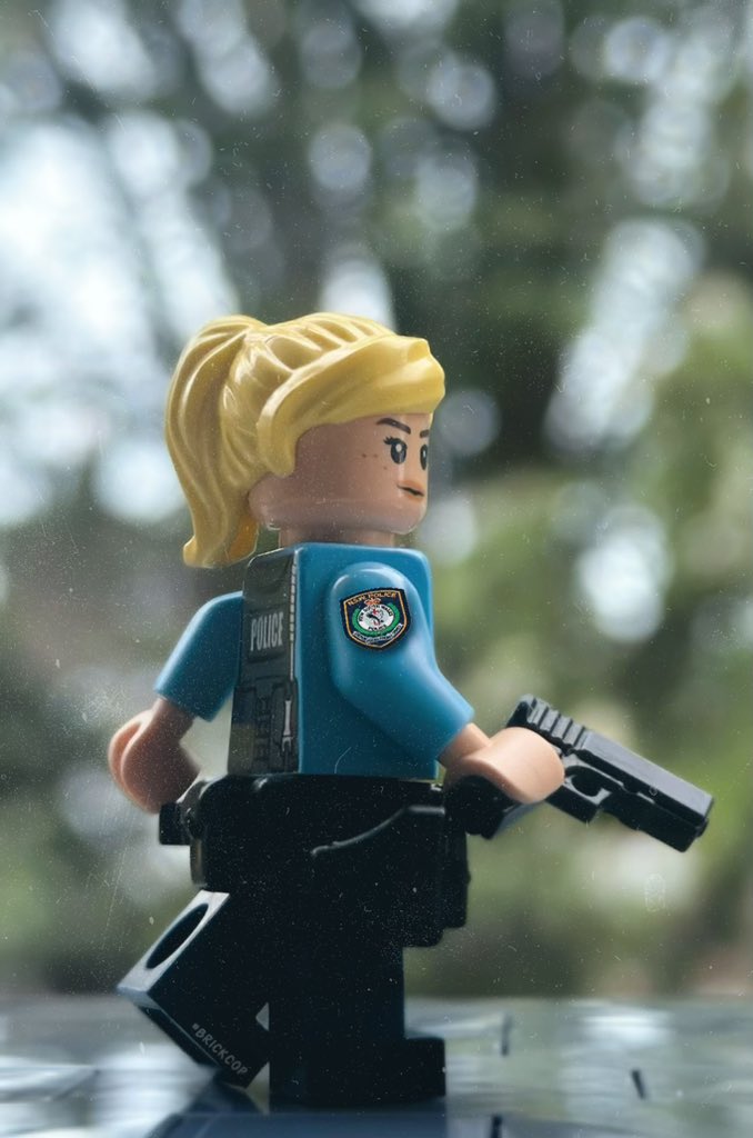 Brick_Cop's tweet image. Just a reminder for the delightful mysoginists on the internet, that on 13/4/24 Insp Amy Scott ran towards a murderer on her own, with no back up.
Inspector Scott stopped the murderer in his tracks & unsurprisingly has been nominated for Australian of the year.
#ThinBlueLine 🚨
