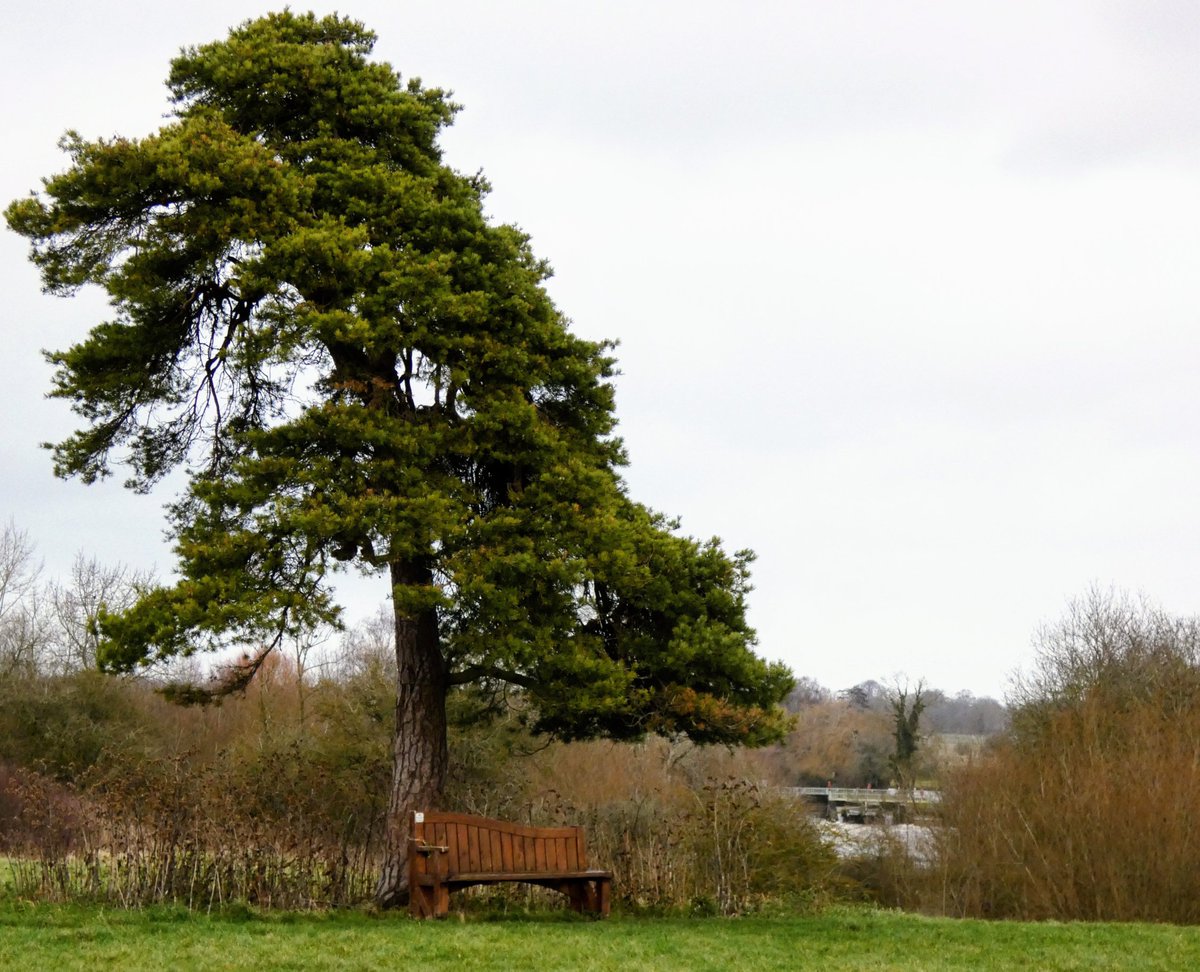 “Fade far away, dissolve, and quite forget
What thou among the leaves hast never known,
The weariness, the fever, and the fret
Here, where men sit and hear each other groan.”

John Keats, Ode to a Nightingale

#GrimLitFriday