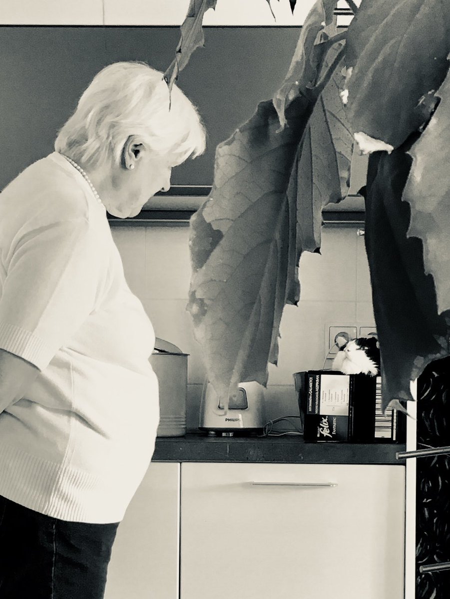 michaln59's tweet image. Dneska na den je to rok, co tu nejsi, mami… letí to, hrozně.