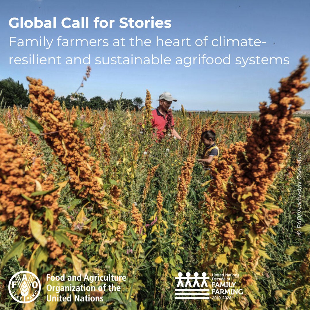 📣Don't miss the chance to share your story!

And together we can see how ..
🌱Family farmers are at the heart of climate-resilient and sustainable agrifood systems❤️ 
 
Send here by July 14 👉 tinyurl.com/yazrvfft

#FamilyFarming #ClimateChange