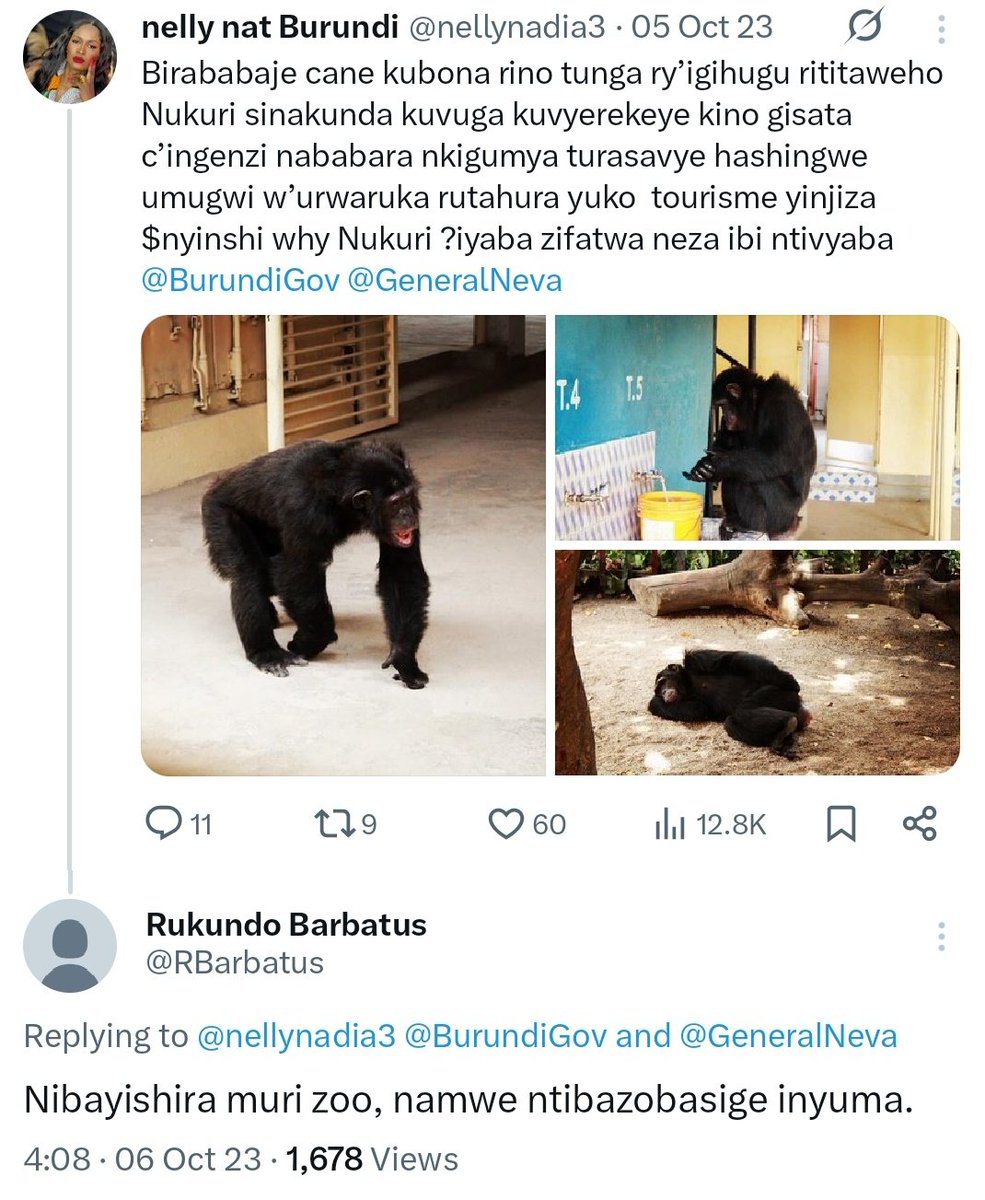 𝒟𝒾𝓋𝒾𝓃 tweet media