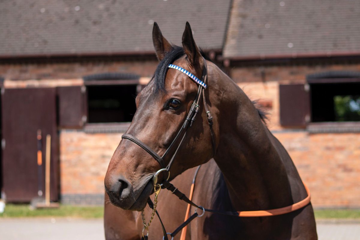 HickyParmarRace's tweet image. FOXLIGHT 🦊 💡
The first winner in the #HickyParmarRacing silks. Winning 2/3 starts for us. ❤️
Best of luck to new connections with him, and we can’t wait to follow his future 🇮🇹
Stay safe boy! 🍀