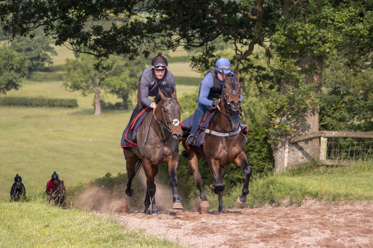 HickyParmarRace's tweet image. FOXLIGHT 🦊 💡
The first winner in the #HickyParmarRacing silks. Winning 2/3 starts for us. ❤️
Best of luck to new connections with him, and we can’t wait to follow his future 🇮🇹
Stay safe boy! 🍀