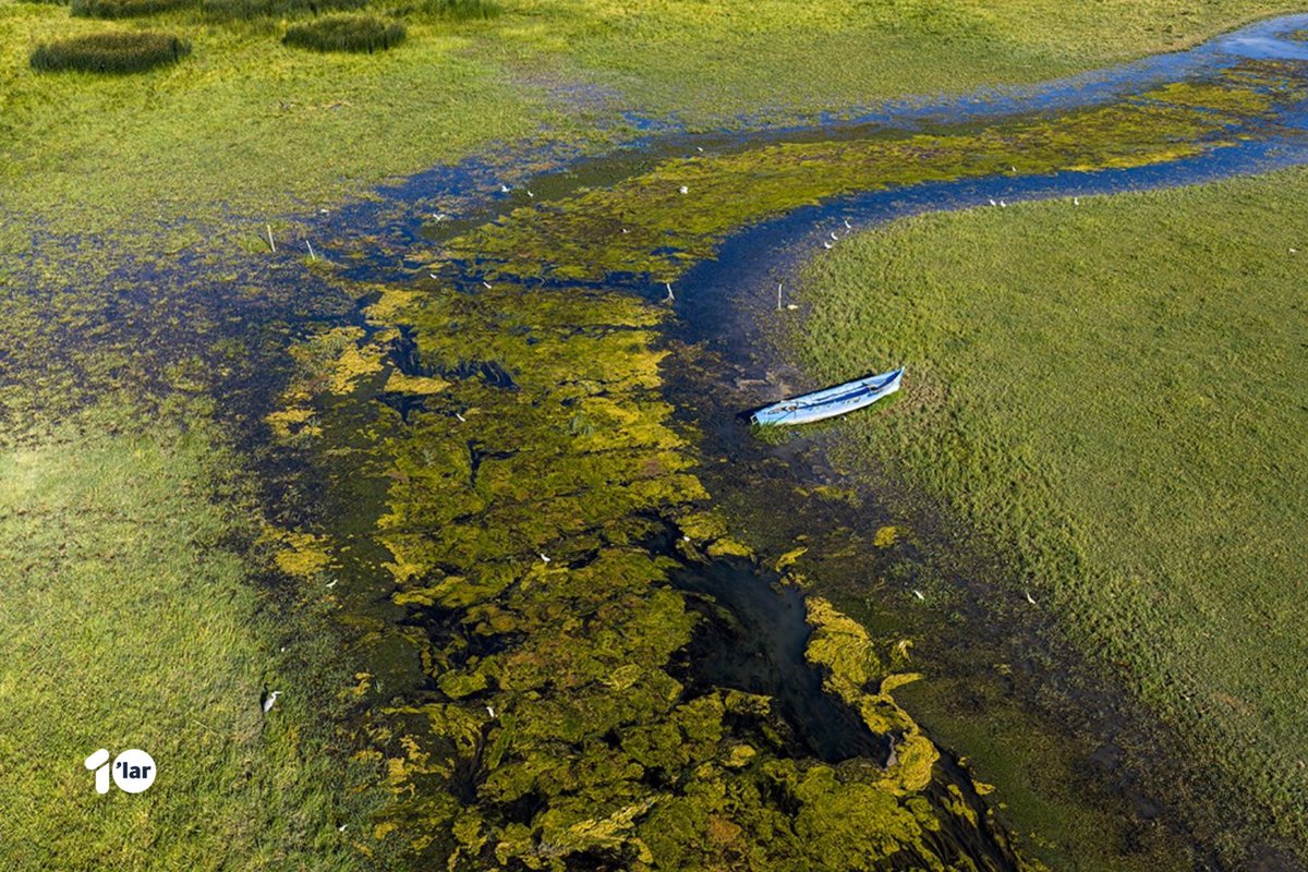 📍Beyşehir Gölü'nde kuraklık nedeniyle ortaya çıkan gözeler havadan görüntülendi