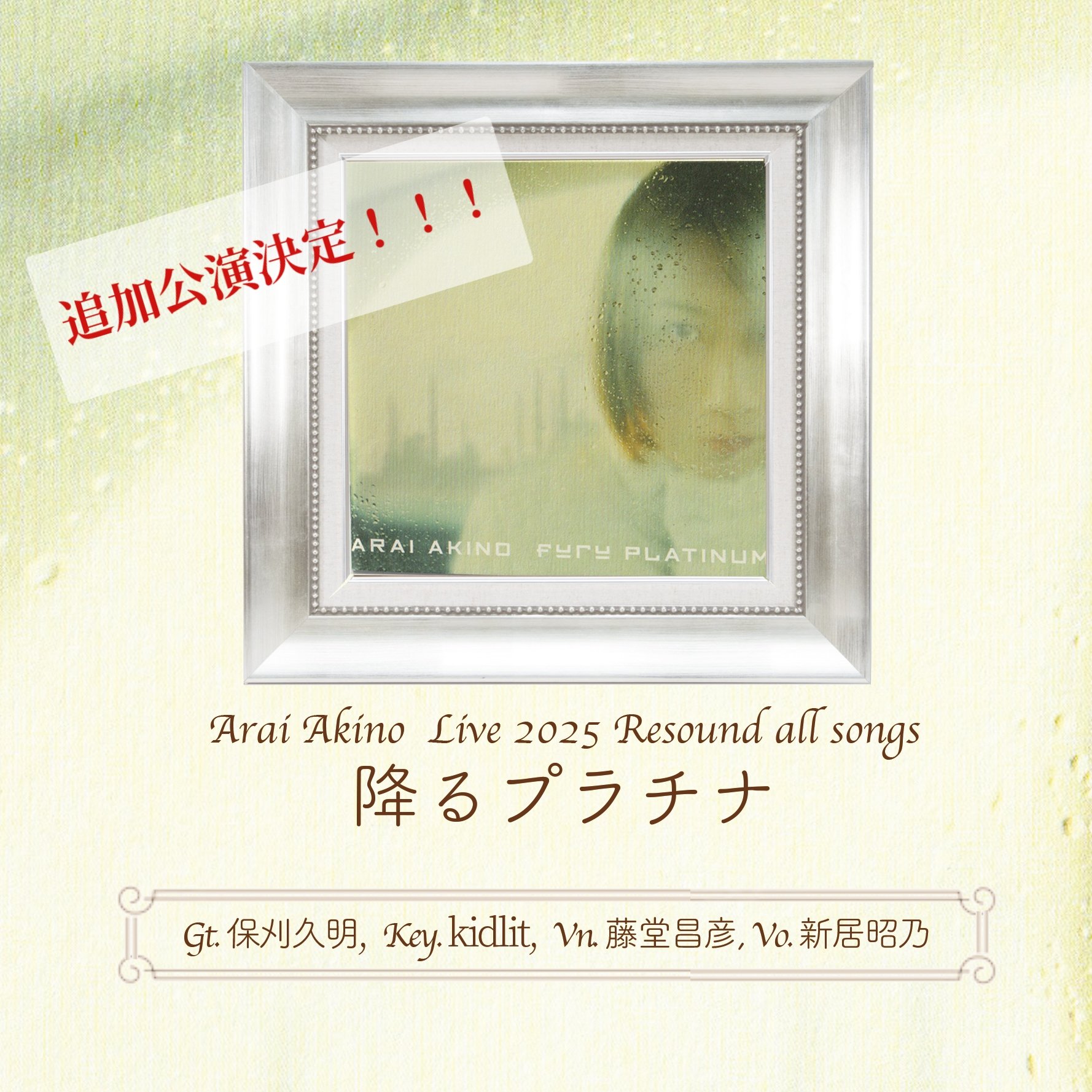The Vocal From Ys/新居昭乃(アライアキノ)：美品CD 新居昭乃 (アライアキノ)｜HMV&BOOKS online