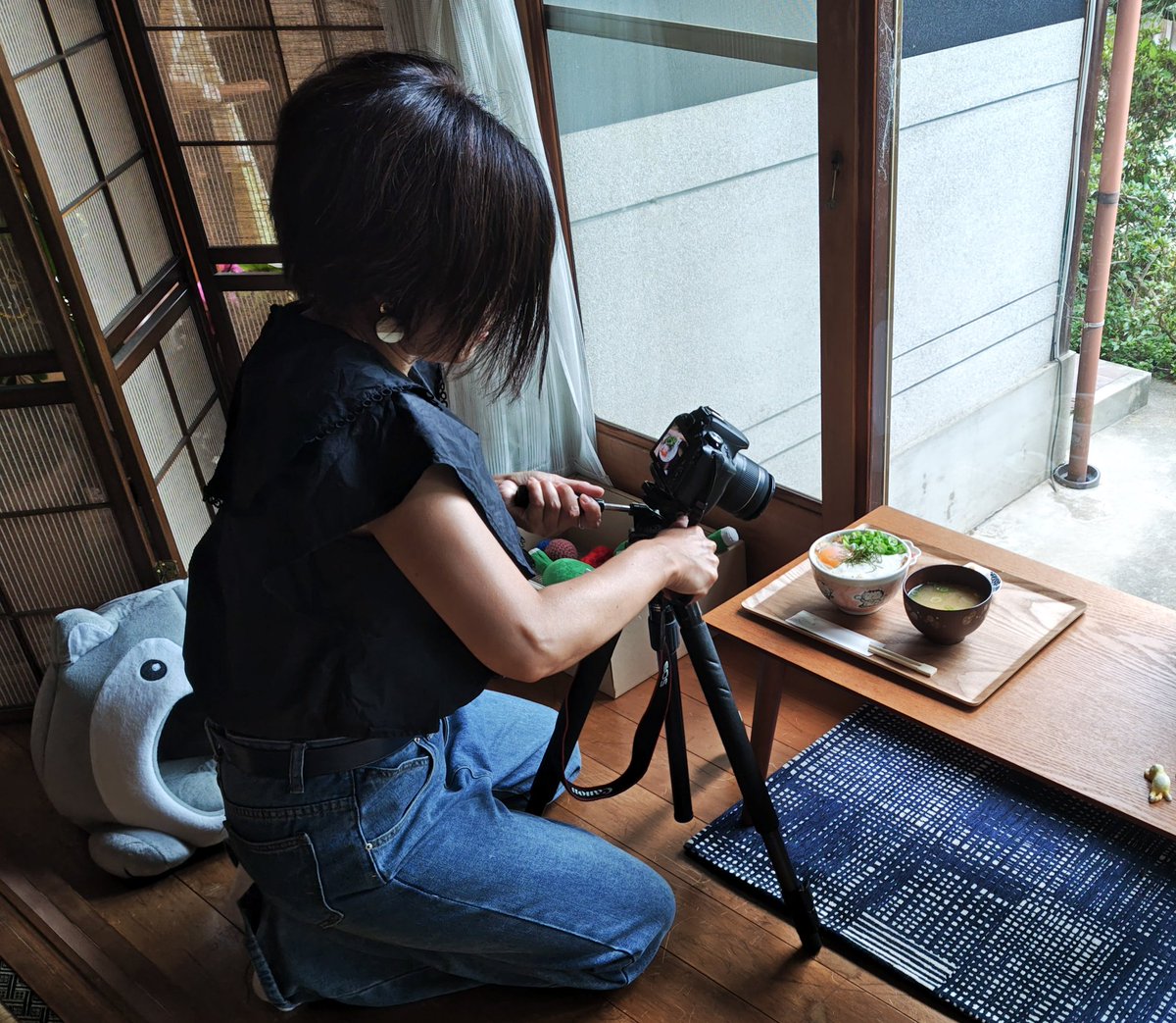 soramamenoie's tweet photo. 今日は地元、三豊・観音寺の地域情報誌『miteGO』さんの取材がありました😺
来月号の夏休み特集で、招き猫の絵付けと、猫とのふれあい、あと夏メニューの『山かけおくらねこまんま』が掲載予定です😺
出たら是非、見てみて下さいね〜🐱
楽しみニャ😻
#香川県 #三豊市 #猫カフェ #miteGO https://t.co/UHHQzv6wfC
