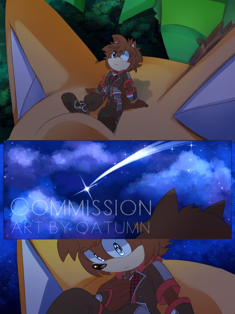 finn_ette's tweet image. Comic comm!ss!on for @ZeroBrony + speedpaint! thank you very much 💖 #kingdomhearts #Sonic