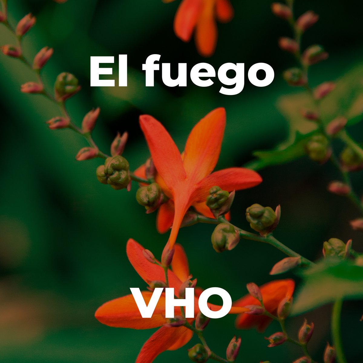 Canciones para avivar el fuego en días de gelidez

Una selección de lo más variopinta con Héctor Lavoe, Diego El Cigala, Daniela Spalla y Kate Bush, entre otr@s

#RockolaVHO 24
▶️ acá bit.ly/ElFuegoVHO
Por Danilo Castillo
Portada por #EstudioZkySky