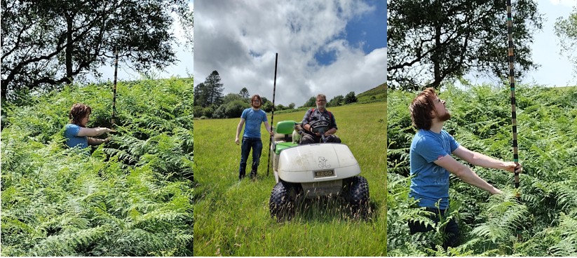 CoventryCAWR's tweet image. Donna Oldbury-Thomas joined the Pony Power team to begin preparations for the much-anticipated Bracken Trial. Funded by ESRC Impact Acceleration Account, the focus is to tackle invasive bracken in an innovative, sustainable way—with the help of some four-legged friends.