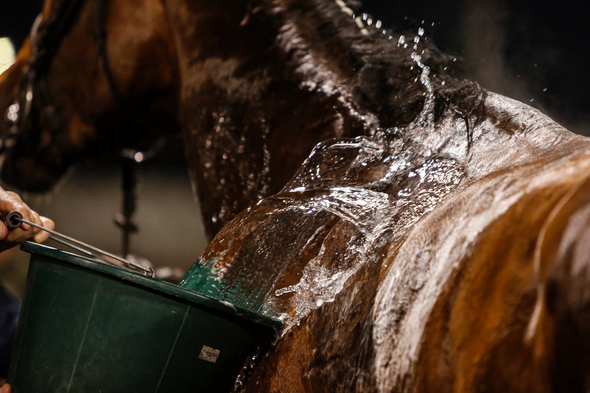 🚿 Litres of cold water to drink &amp; cool
💨 Misting fans
🌳 Use of shaded areas 
🩺 Constant monitoring by vets

Just some of the extra measures we take to keep horses comfortable &amp; hydrated on the racecourse in hot weather 🏇

🔗 horsepwr.co.uk/news/keeping-r…