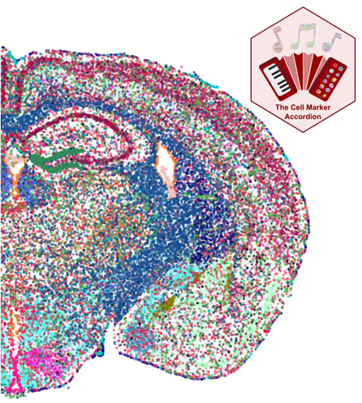 RDDS-Lab tweet media