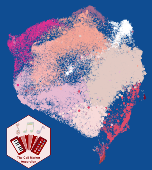 RDDS-Lab tweet media