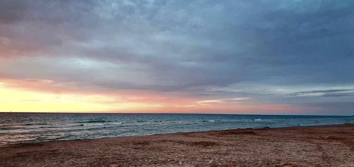 Dorota Z 🍀🇵🇱🇪🇺🏳️‍🌈😷⚡ tweet media