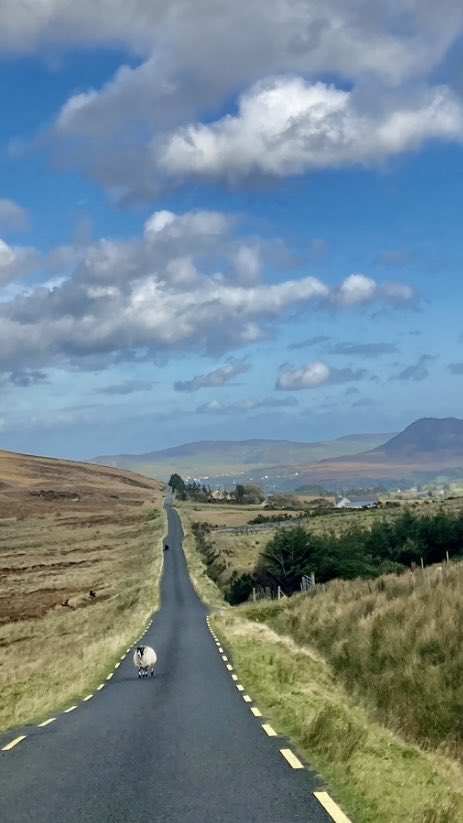 FortCottage's tweet image. The road to Clonmany. Inishowen Co Donegal #WildAtlanticWay #KeepDiscovering