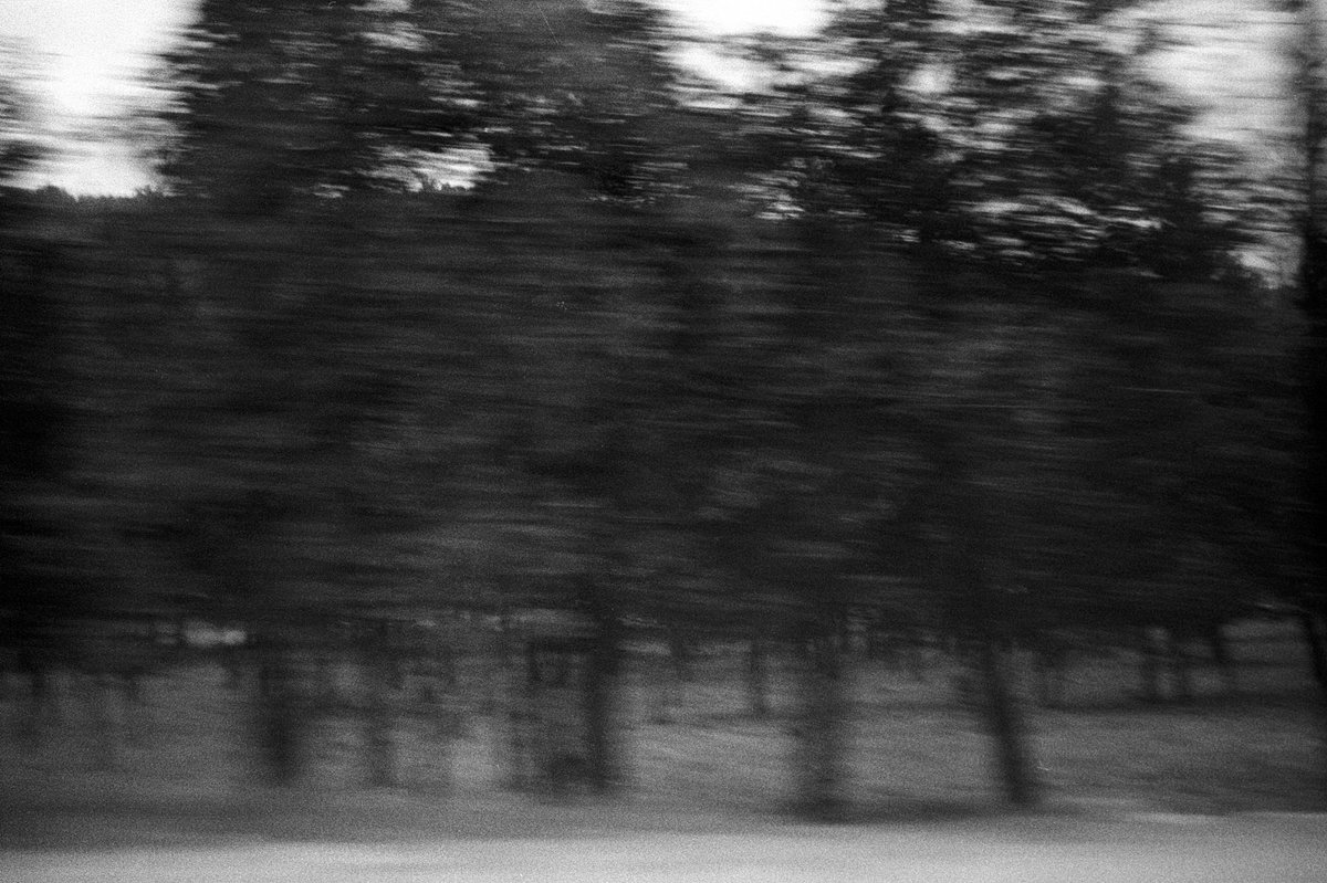 photos i took that look like paintings