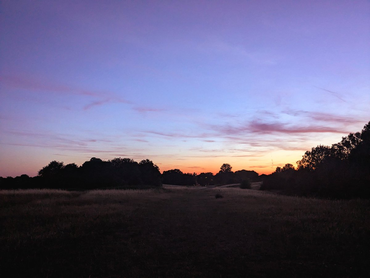 tobetired's tweet image. quiet