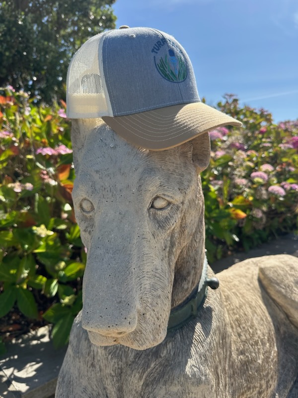 turf_talk1's tweet image. Our friend @ShaneRice33 is having the golf trip of a lifetime in Ireland and brought the hat for the trip