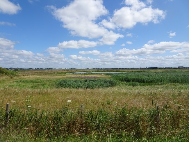 In weekbericht 748 nieuws over sociaal en betaalbaar bouwen: actuele stand van sociaal &amp; betaalbaar bouwen op Wilderszijde, Bleizo-West en woonwagencentrum Bosland. Wij heten samen met <a href="/F__Timmermans/">Frans Timmermans</a> de revival van de Volkshuisvesting van harte welkom: lansingerland.pvda.nl/nieuws/weekber…